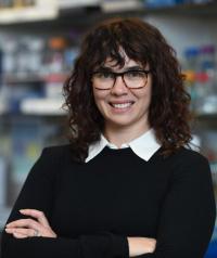 Lauren Houghton, PhD